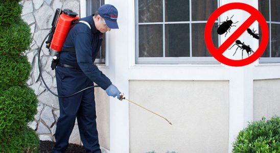 Ulubey Kene İlaçlama böcek ilaçlama ve haşere kontrolü — ilaclama-tr.com